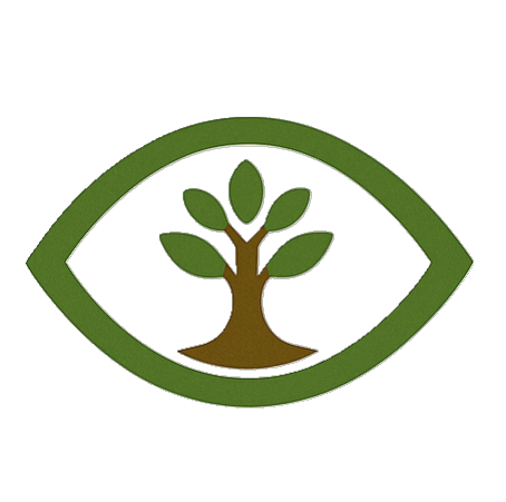 Eye with a tree inside